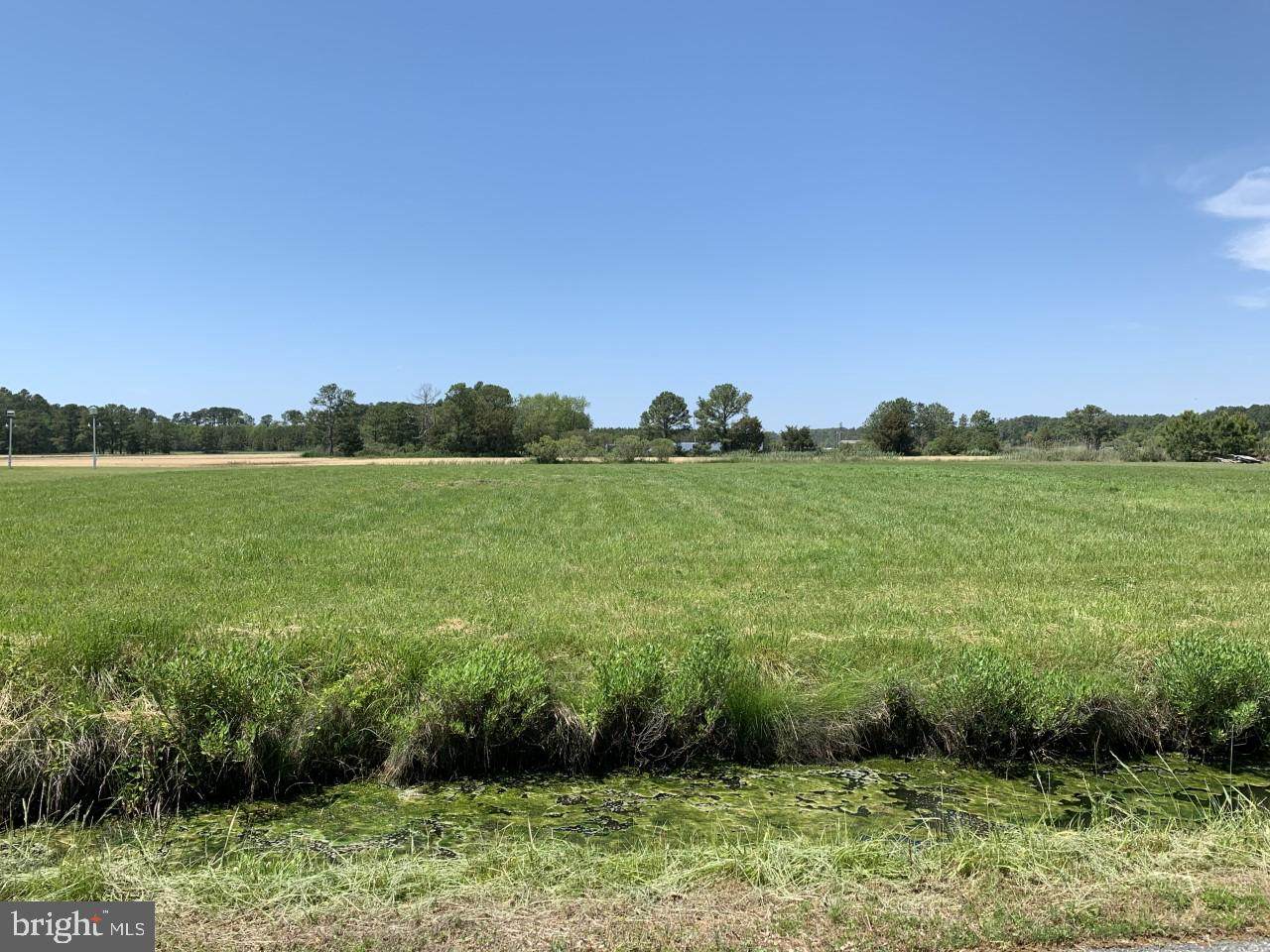Lot 3 Saint Peters Church Road - Photo 1