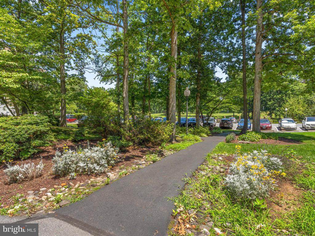 15101 Interlachen Drive - Photo 1