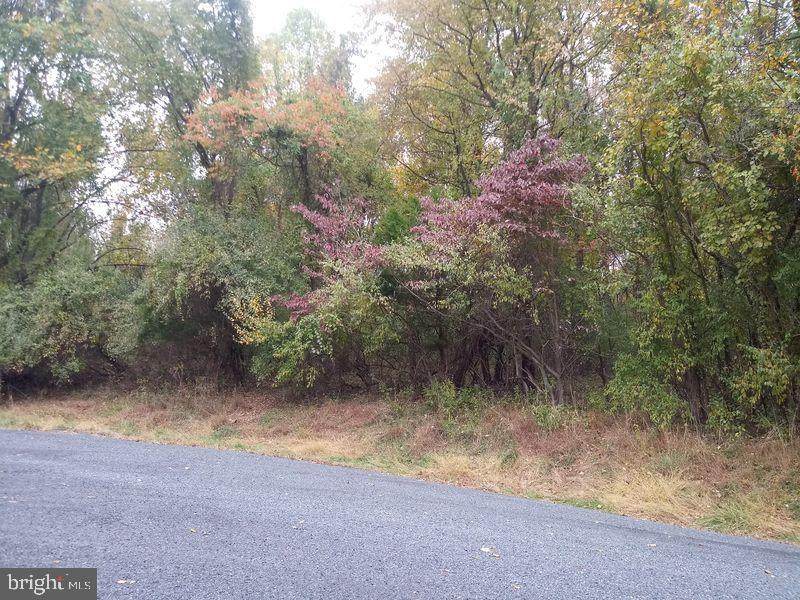 39 Mountain View Trail - Photo 1
