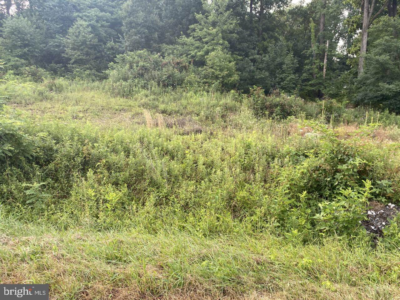 13786 Mar Way - Photo 1
