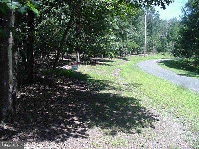 20 Edward Kidwell Rd/Noland Road - Photo 1
