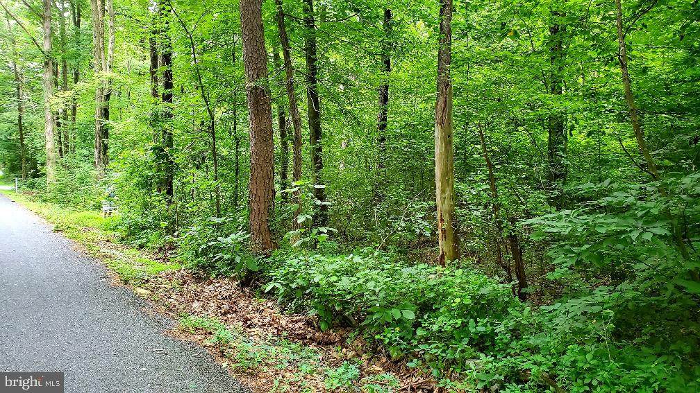 Lot 1 Bloody Spring Road - Photo 1