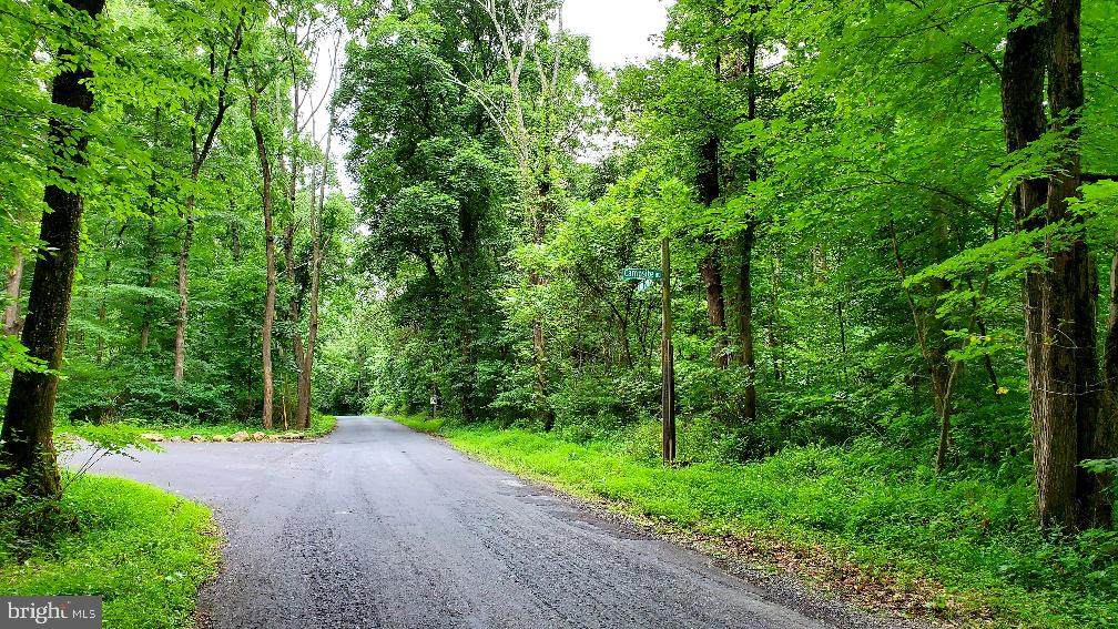 Lot 2 Bloody Spring Road - Photo 1