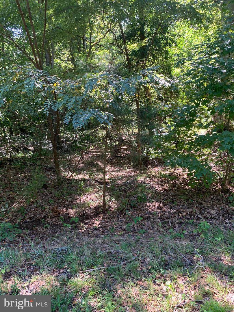 LOT 110 Bishop Drive - Photo 1