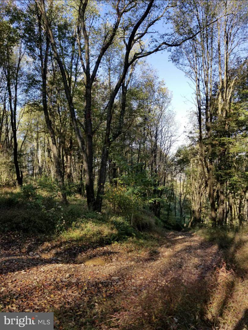 Truman Blvd - Photo 1