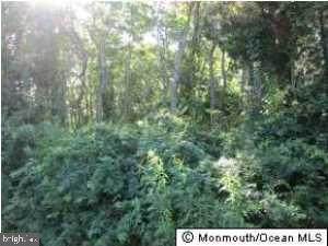 44 Memorial Drive - Photo 1