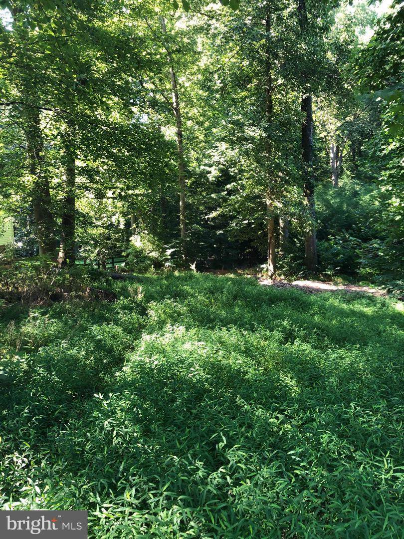 9205 Weant Drive - Photo 1