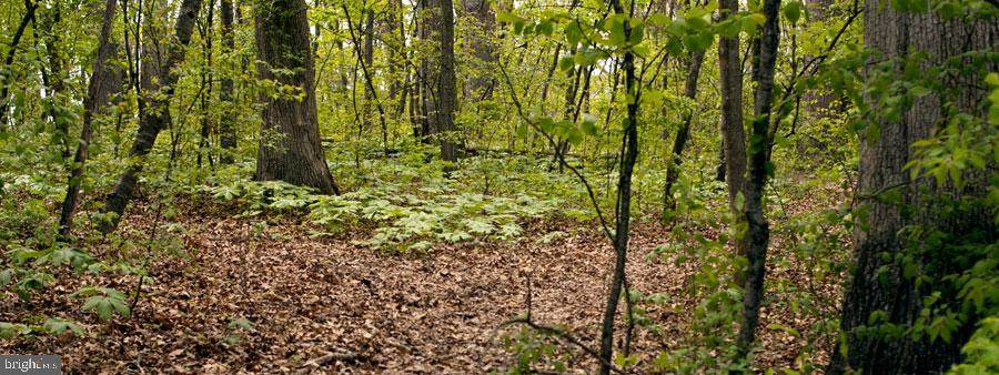Hunters Ave - Photo 1
