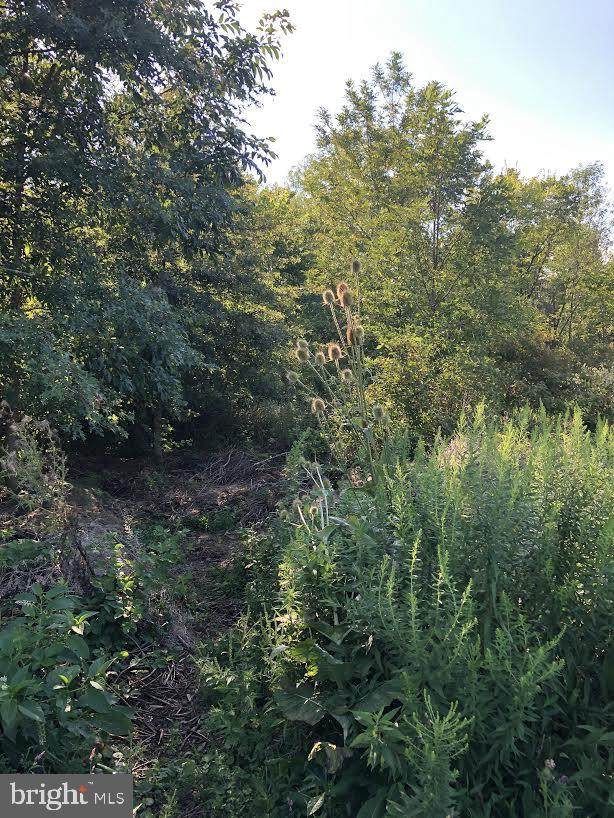 0 Cemetery Road - Photo 1