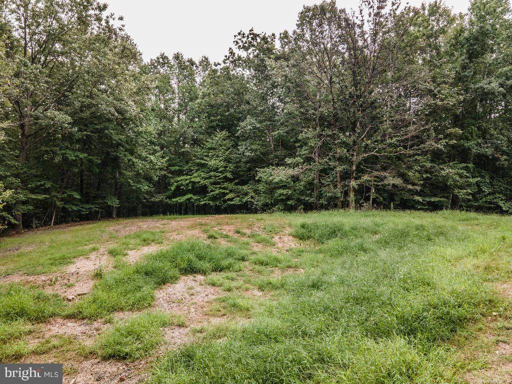 8113 Dulins Ford Road - Photo 1