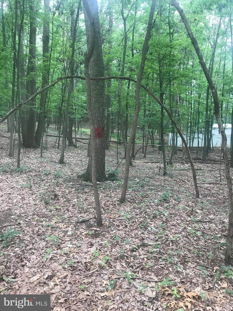 Middle Ridge Road - Photo 1