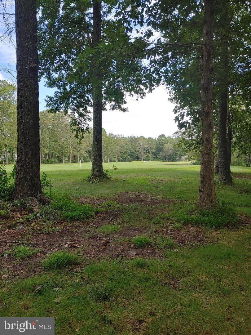 4 Dog Leg Court - Photo 1