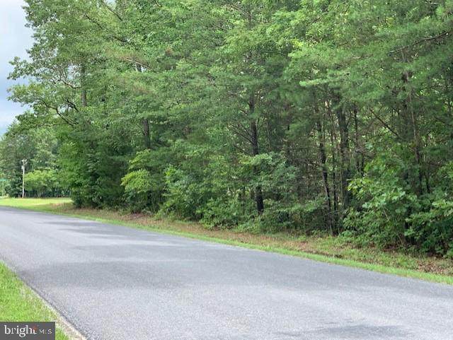 RT 614 GOVERNOR ALMO Governor Almond Road - Photo 1