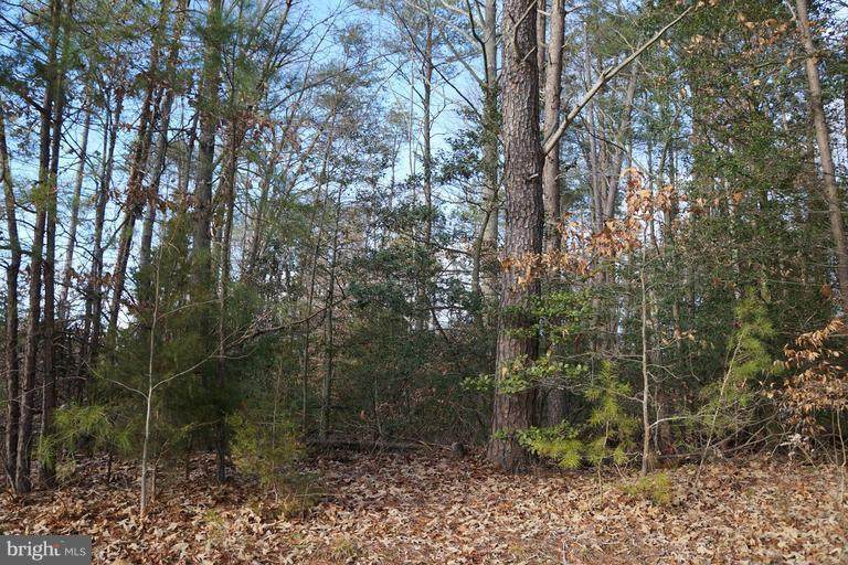 Golansville Rd - Photo 1
