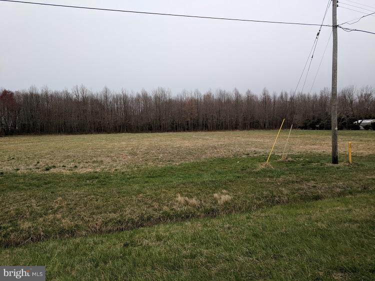 21545 Dupont Highway - Photo 1
