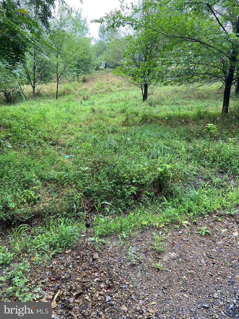 Connecticut Court - Photo 1