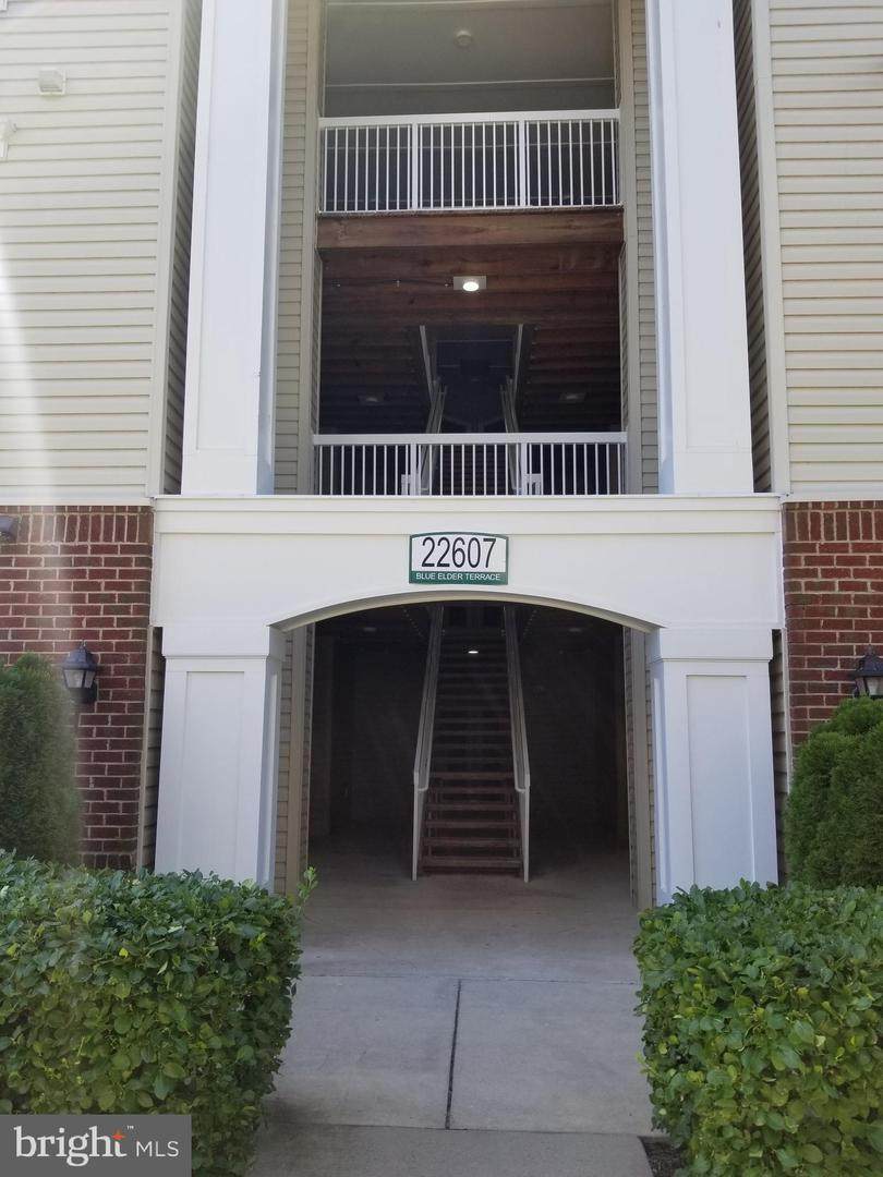 22607 Blue Elder Terrace - Photo 1