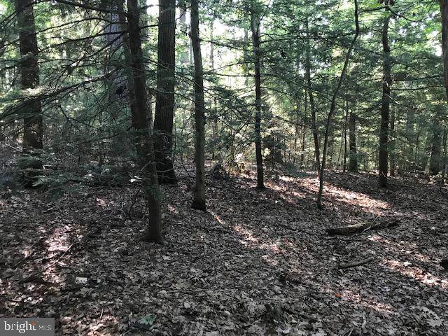 0 Pine Tree Road - Photo 1