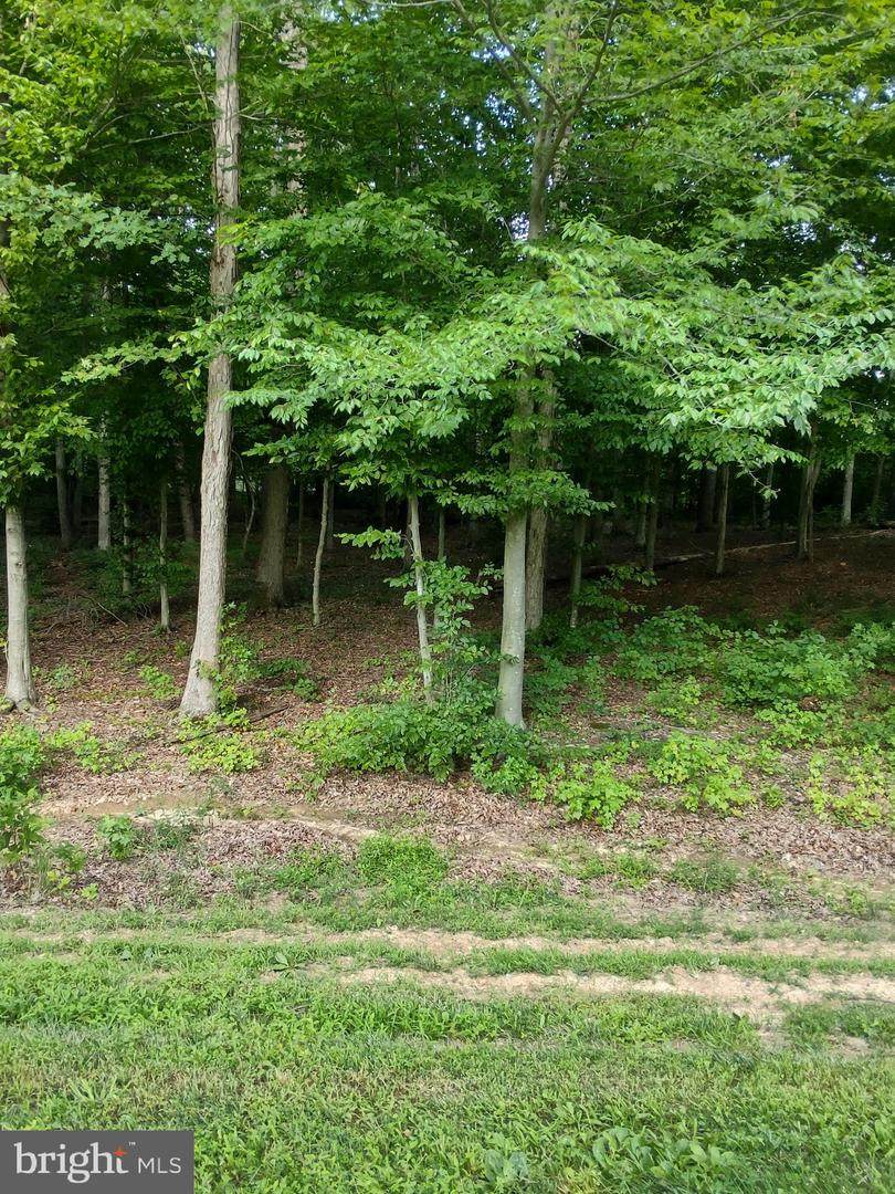 Rainbow Ridge - Photo 1