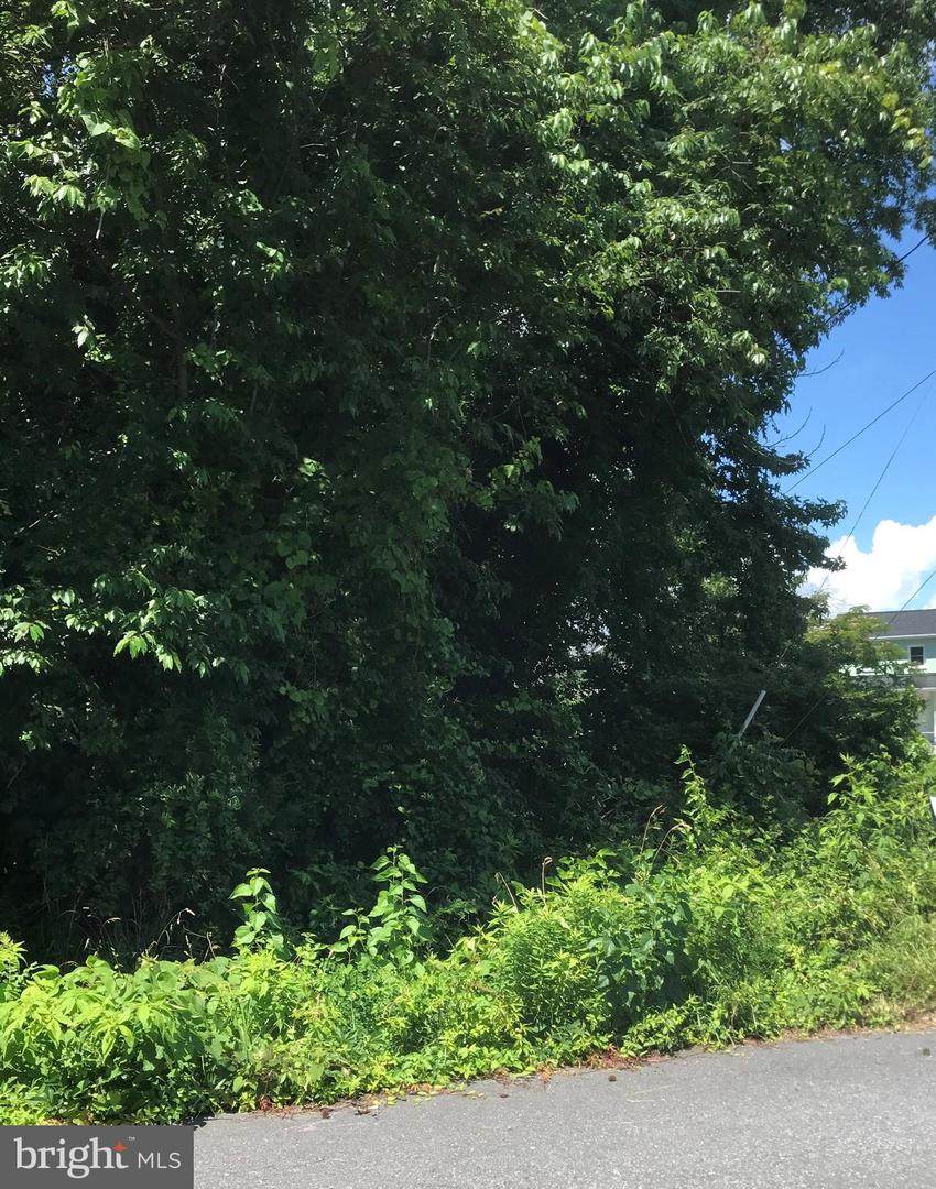 Lot 65 Kintz Street - Photo 1