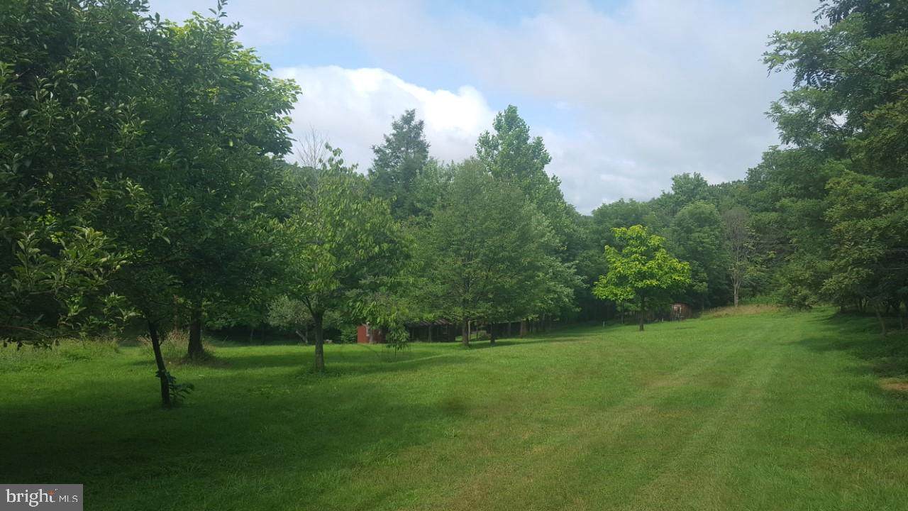 303 Harley Lane - Photo 1