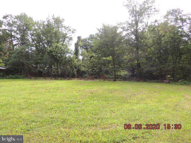 0 Potomac Street - Photo 1