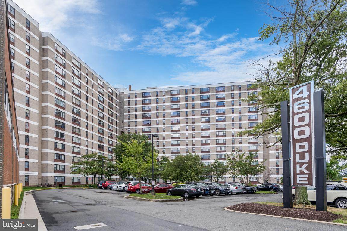 4600 Duke Street - Photo 1