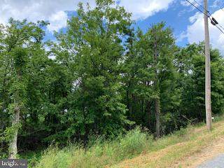 0 Timber Ridge Trail - Photo 1