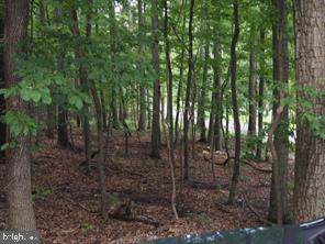 Corner Lot Crow Drive And Mauser Drive - Photo 1