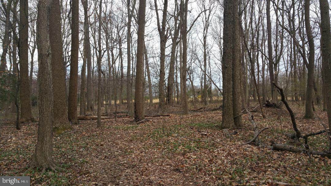 L: 12.01 Lake Road - Photo 1