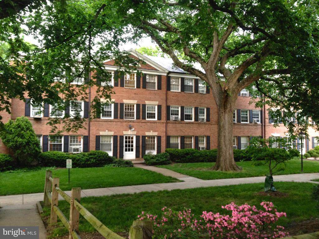 903 Frederick Street - Photo 1