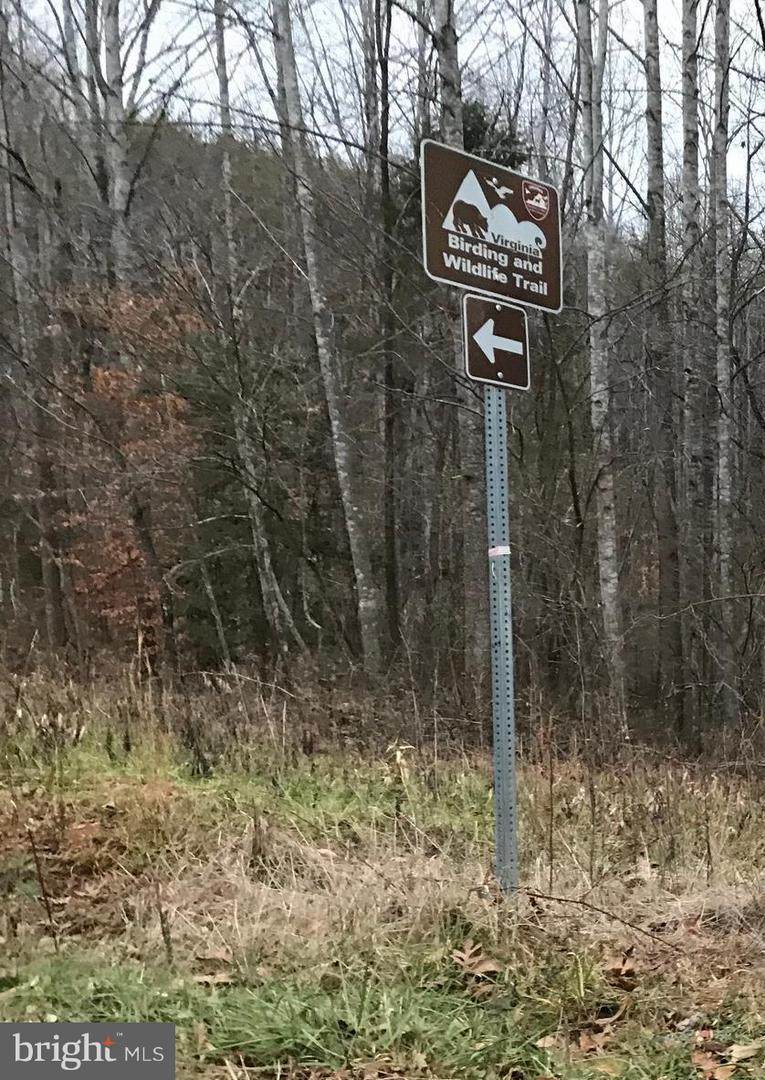 4.3 (ACRES ON)HOWARDSVILLE TURNPIKE - Photo 1
