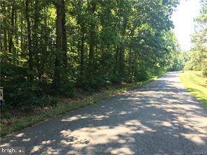 1425 Log Cabin Road - Photo 1