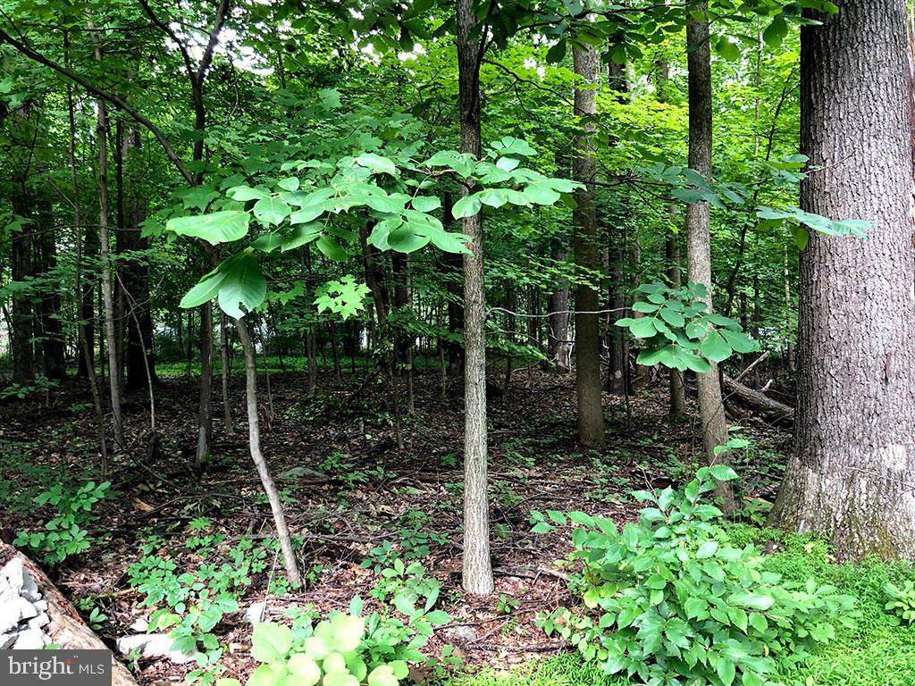 1738 Becker Road - Photo 1