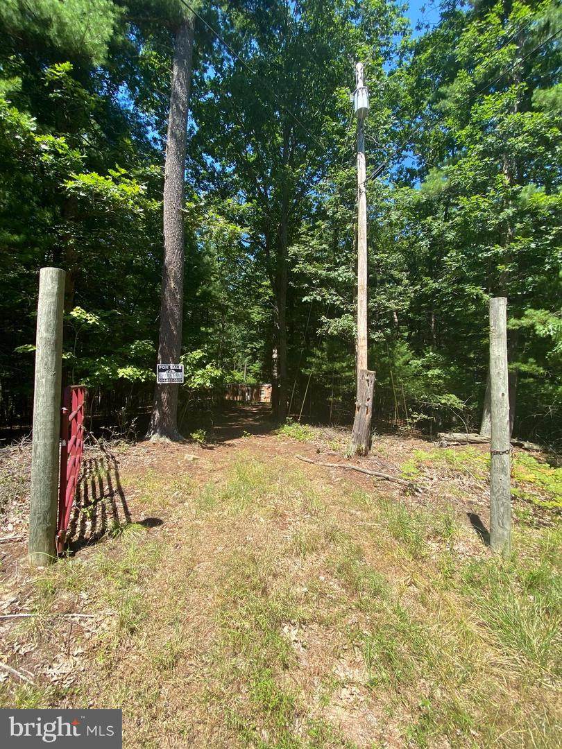 Lots 67 & 68 Tall Tree Dr - Photo 1
