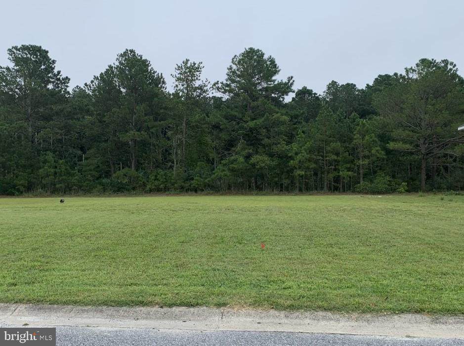 39625 Water Works Court - Photo 1