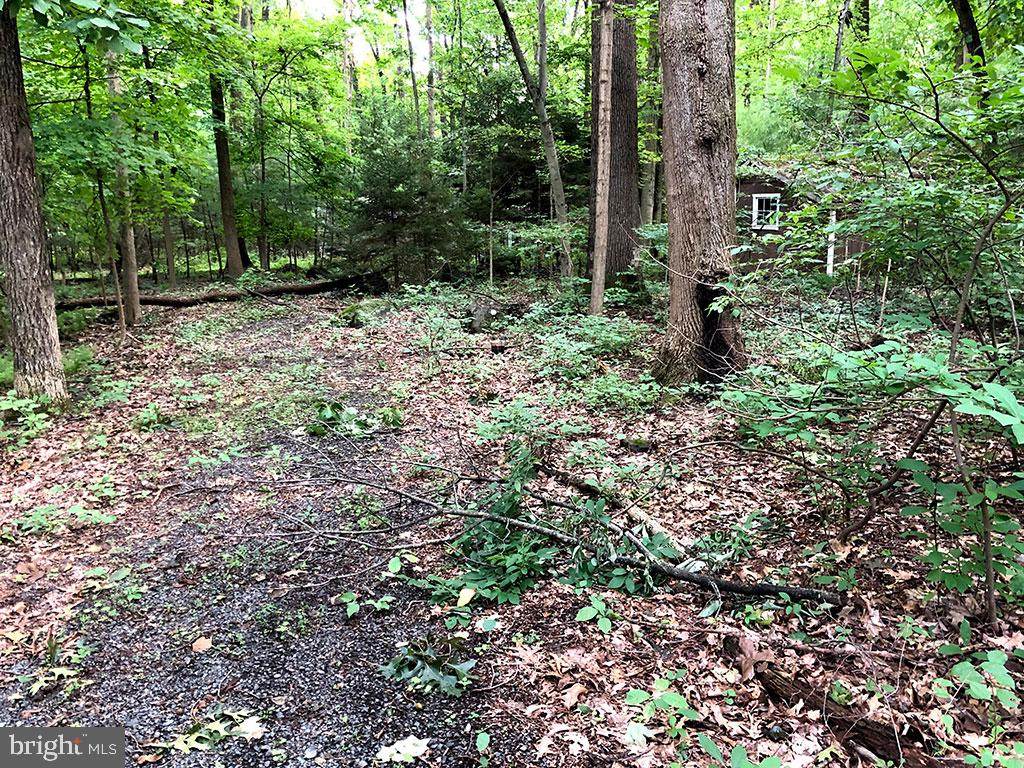 1736 Becker Road - Photo 1