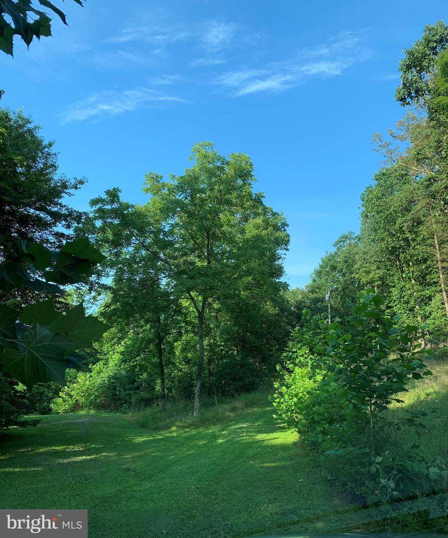 88 Caravan Lane - Photo 1