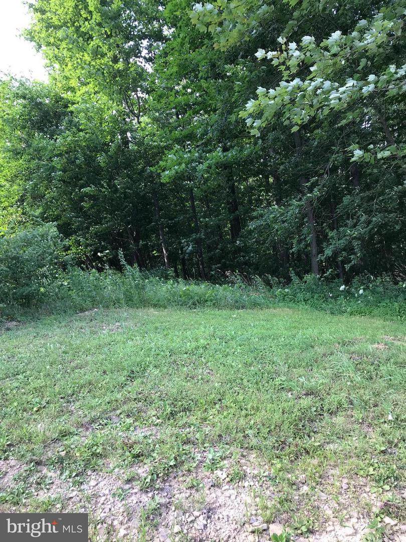 Chestnut Ridge Road - Photo 1