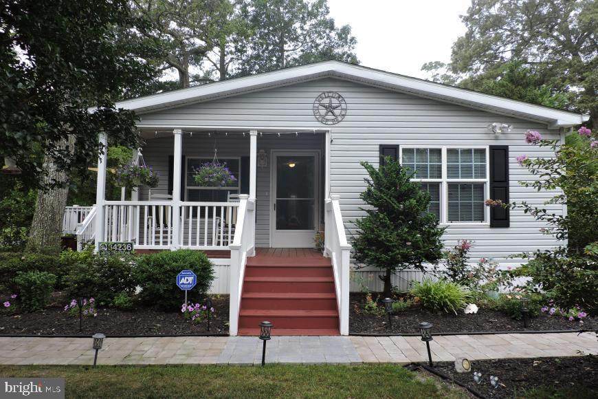 34236 Sandy Lane - Photo 1