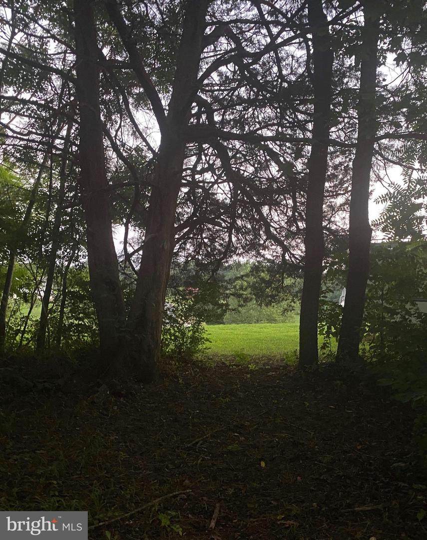 Lot 35 Miss Mollys Lane - Photo 1