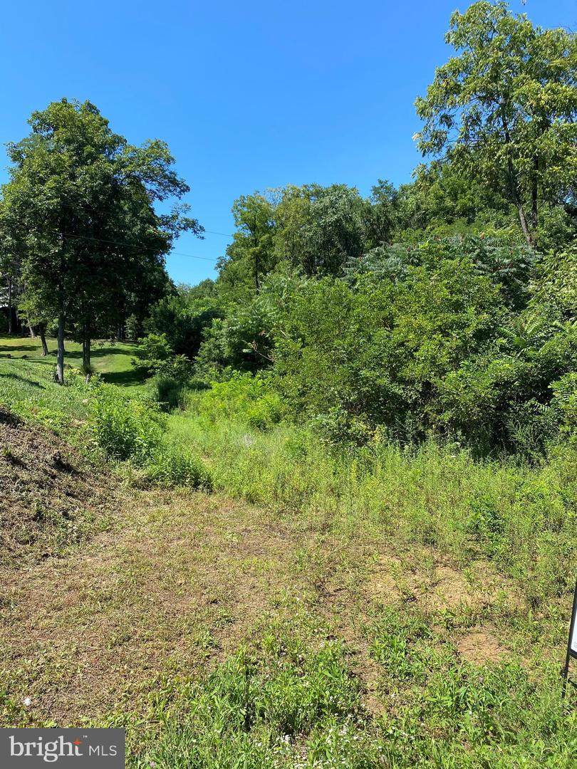 0 Quarry Road - Photo 1