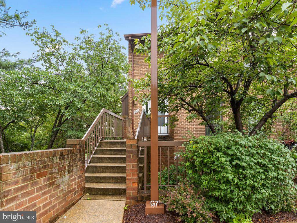 3002 Gentain Court - Photo 1