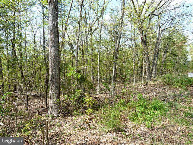 0 Supinlick Ridge Road - Photo 1