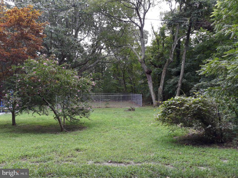 726 Orchard Lane - Photo 1
