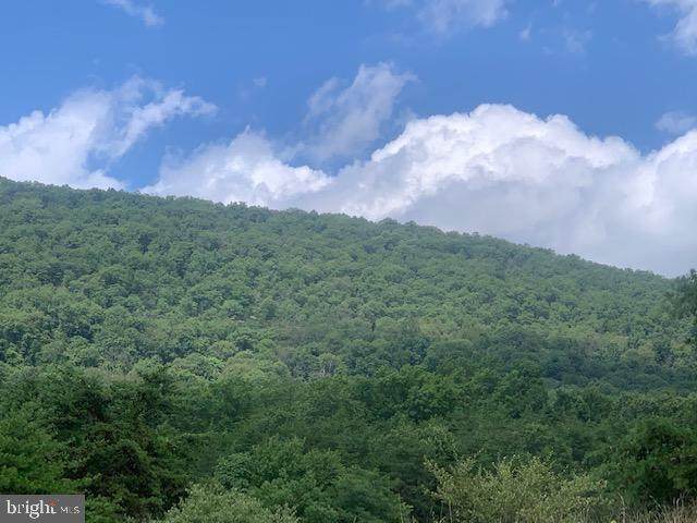 Off Mullins Road - Photo 1