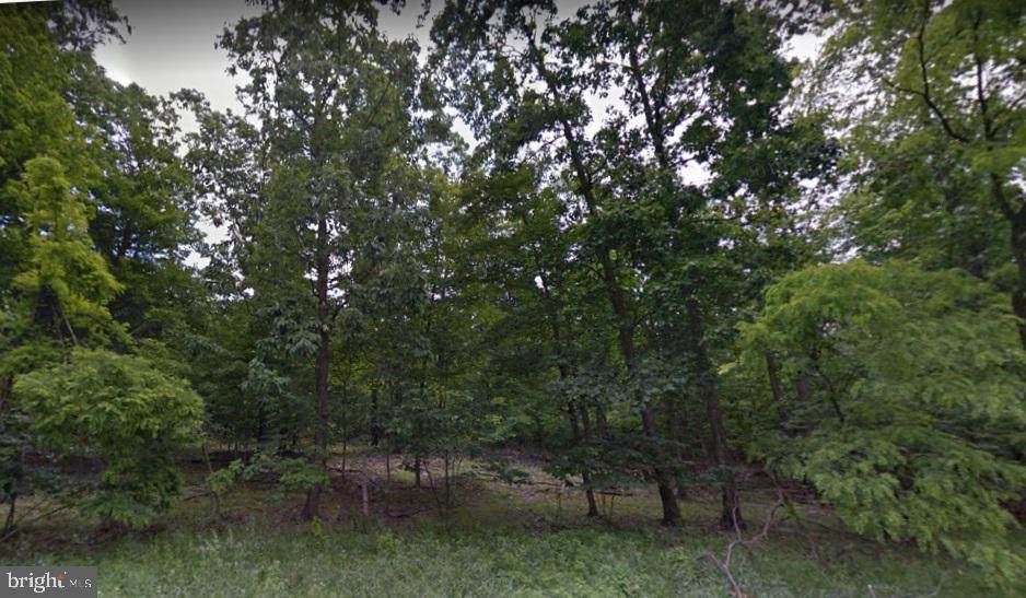 000 Staley Road - Photo 1