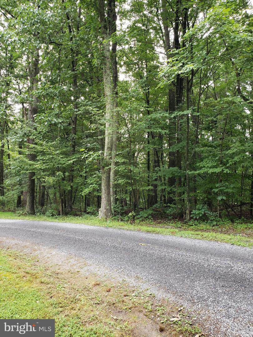 Lot 5 Gloyd Lane - Photo 1