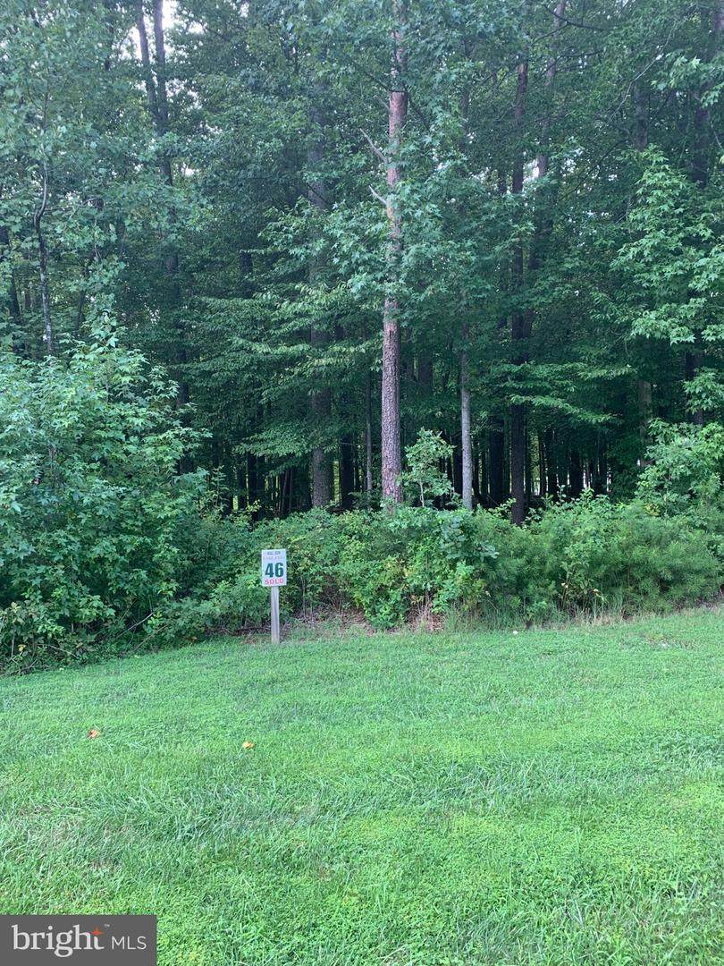 LOT 46 Mill Run - Photo 1
