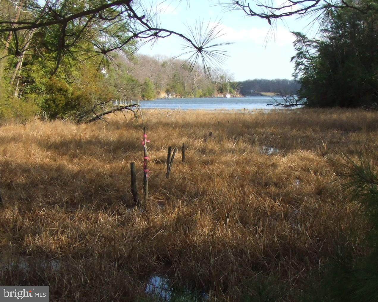 0 Federal Farm Rd - Photo 1